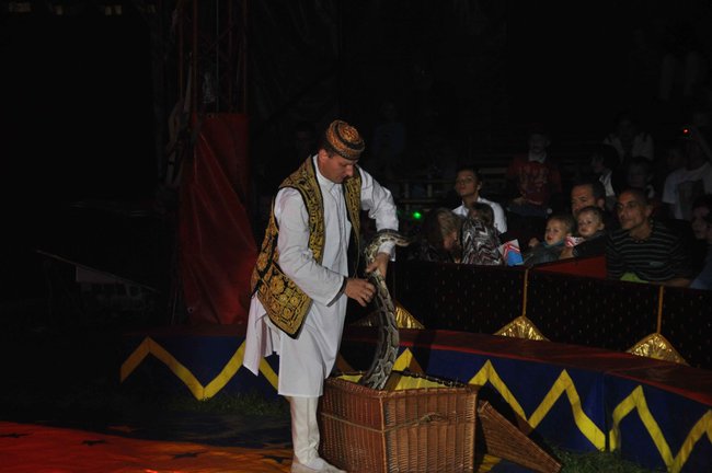 Cyrkowe popisy pod zamkiem