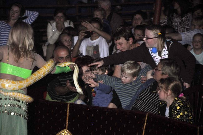 Cyrkowe popisy pod zamkiem