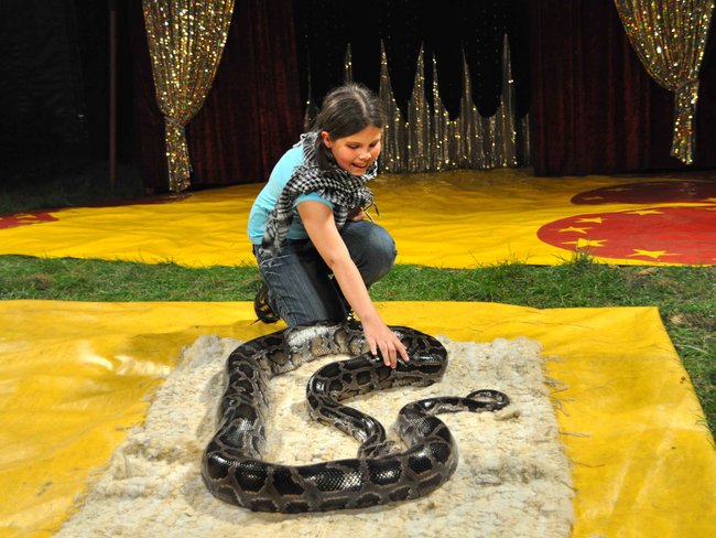 Cyrkowe popisy pod zamkiem