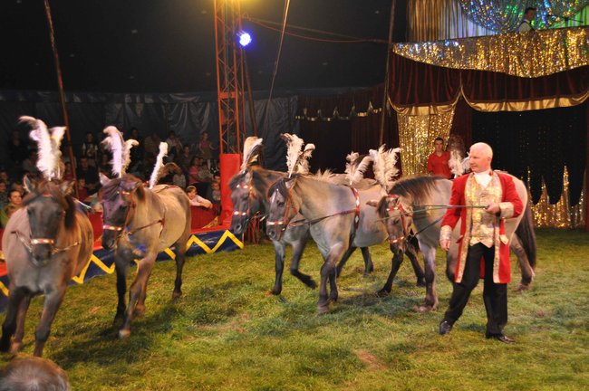 Cyrkowe popisy pod zamkiem