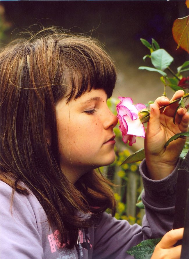 Konkurs fotograficzny rozstrzygnięty