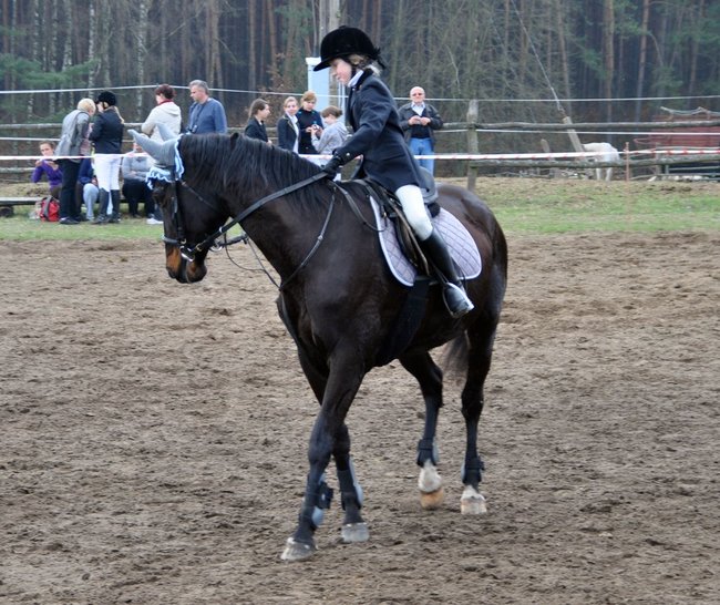 Zawody jeździeckie w Gródku