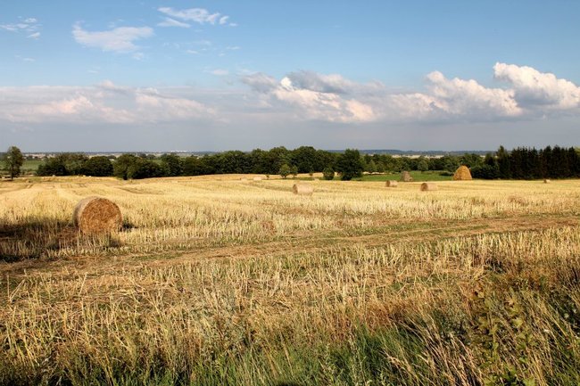 Ekspedycja Wisła 2012