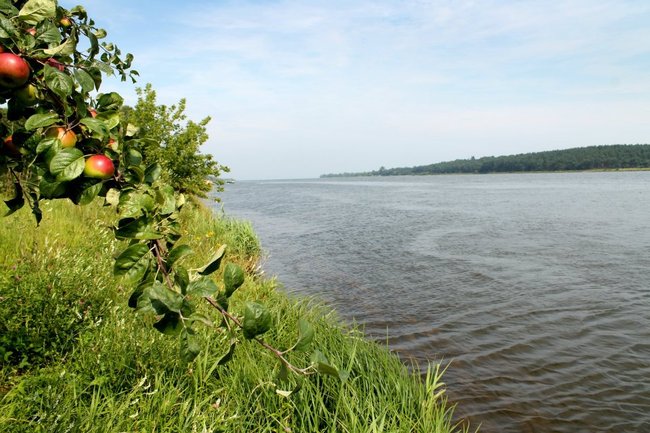 Ekspedycja Wisła 2012