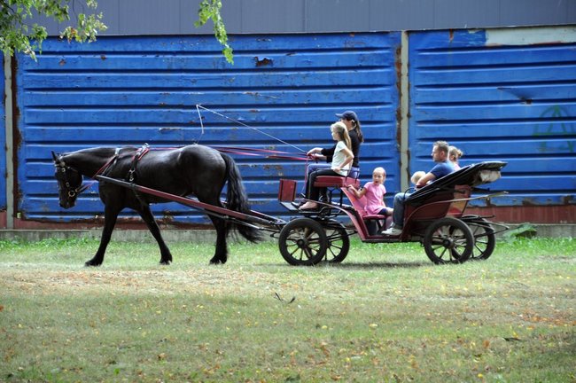 Fotorelacja ze Święta Rolnika w Sulnowie