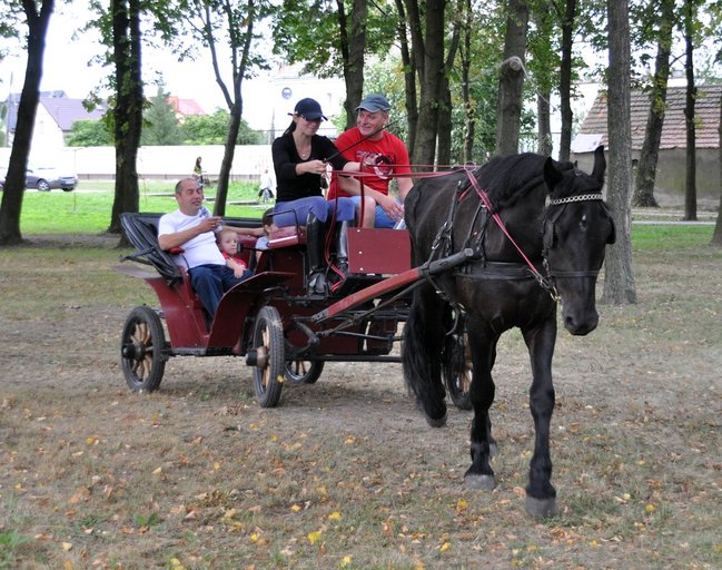 Fotorelacja ze Święta Rolnika w Sulnowie