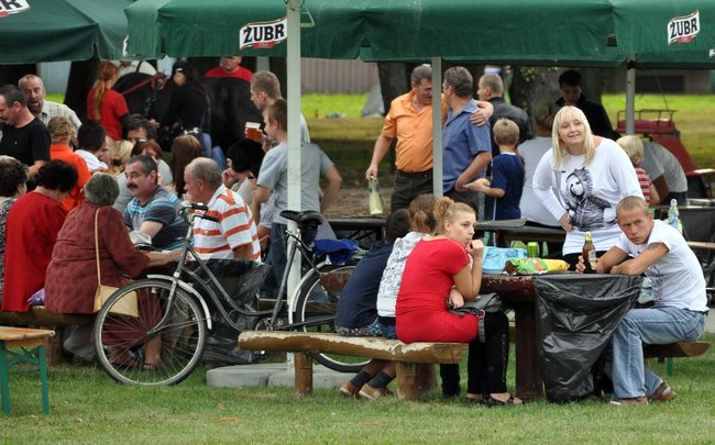 Fotorelacja ze Święta Rolnika w Sulnowie