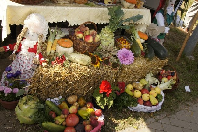 Dziękowali za plony