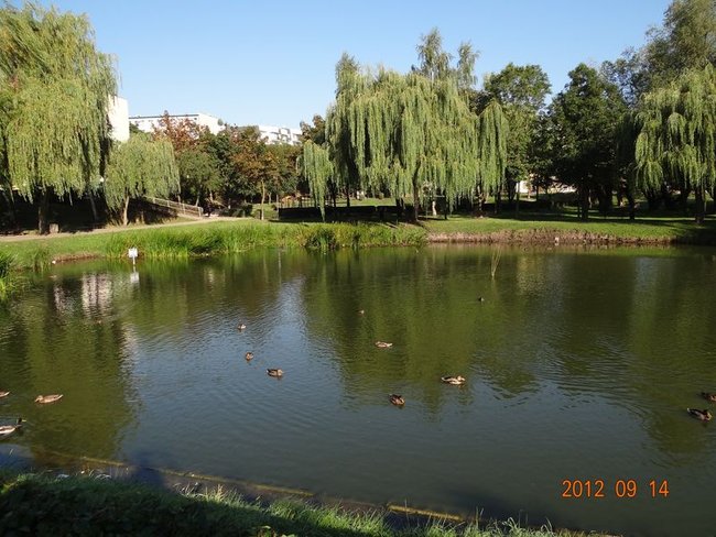 Żeby Ziemia była czysta