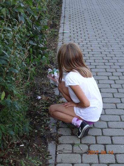 Żeby Ziemia była czysta