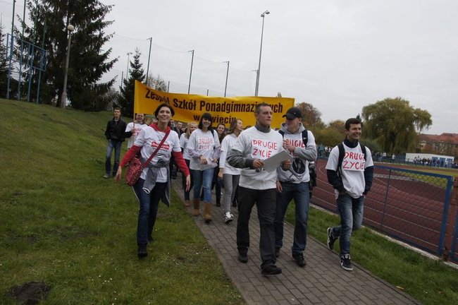 O transplantacji na sportowo