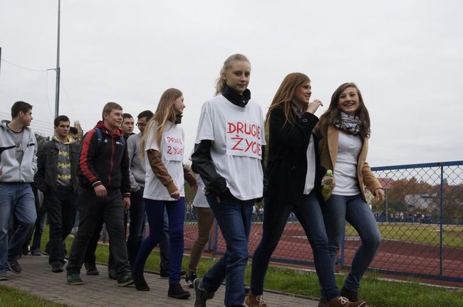 O transplantacji na sportowo