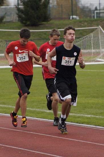 O transplantacji na sportowo