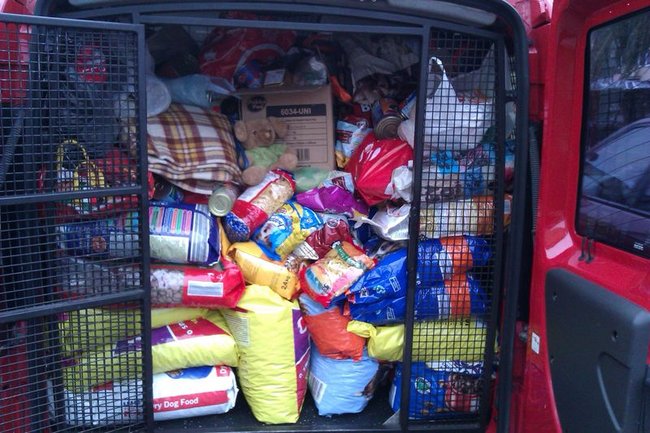 Psy zimą będą najedzone!