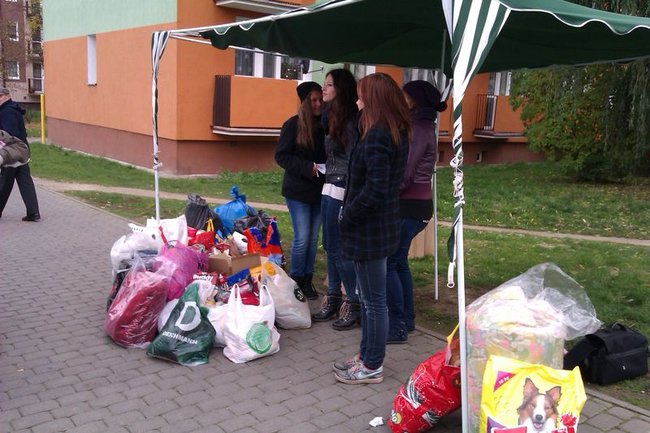 Psy zimą będą najedzone!