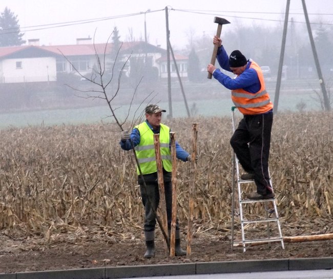 Miodowa prawie gotowa