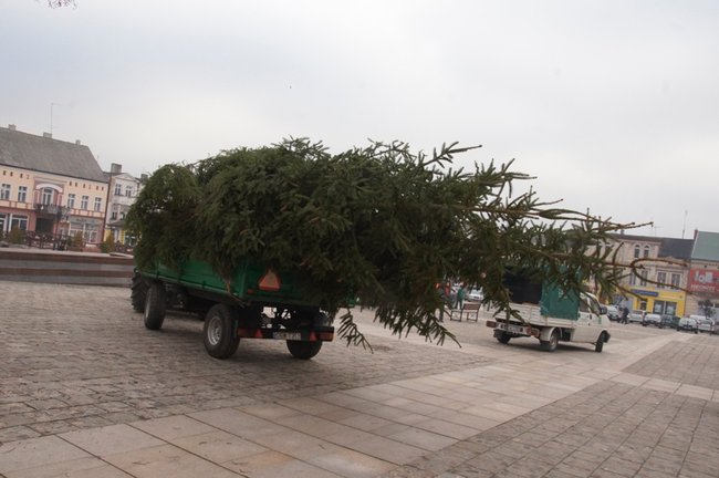 Świecie stroi się na święta