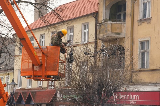 Świecie stroi się na święta