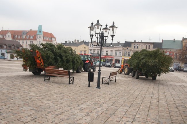 Świecie stroi się na święta