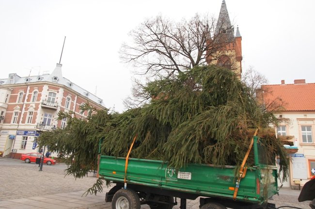Świecie stroi się na święta