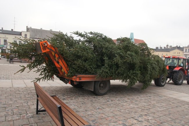 Świecie stroi się na święta