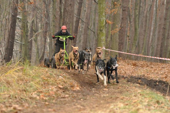 Radek drugim wicemistrzem na Mistrzostwach Polski