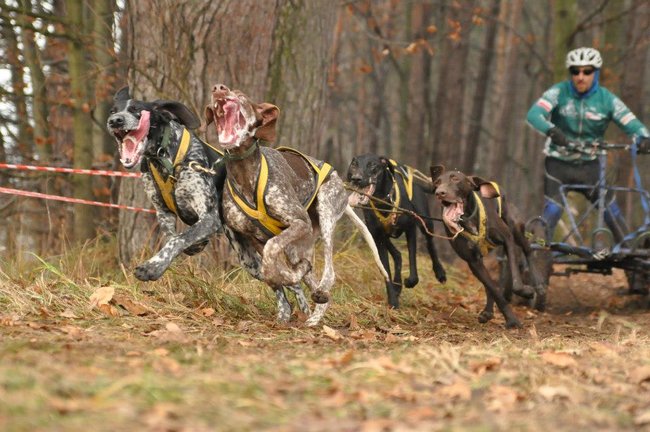 Radek drugim wicemistrzem na Mistrzostwach Polski