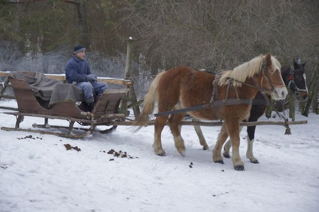 Katolik na kuligu - fotorelacja