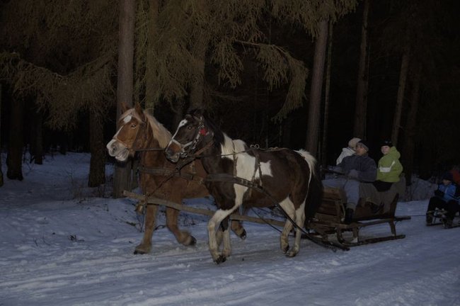 Katolik na kuligu - fotorelacja