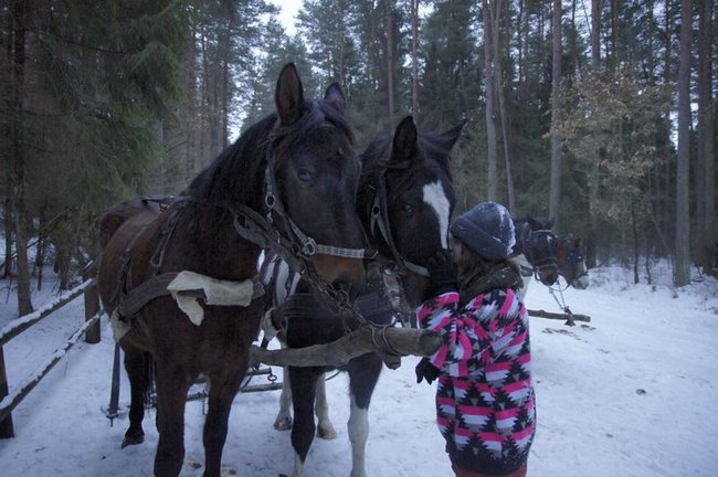 Katolik na kuligu - fotorelacja