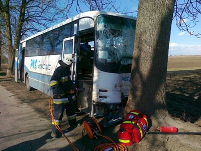 Autobus uderzył w drzewo