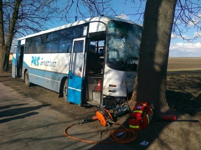 Autobus uderzył w drzewo