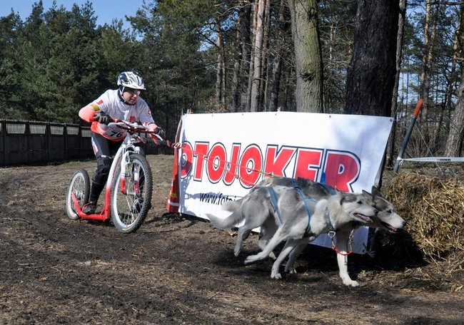 Radek z brązowym medalem