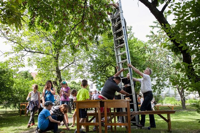 Piknik na jubileusz księdza