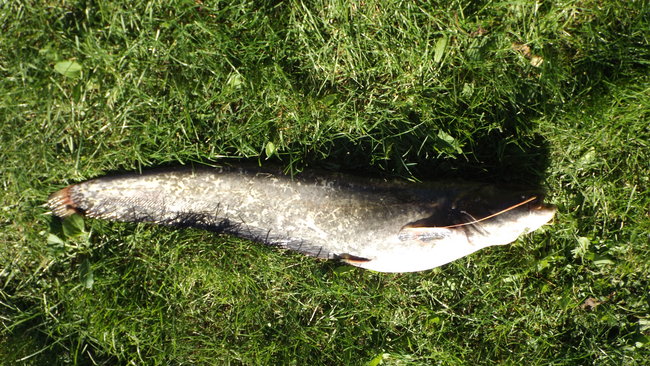 Kobiety też potrafią łowić