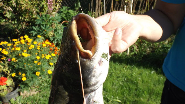 Kobiety też potrafią łowić