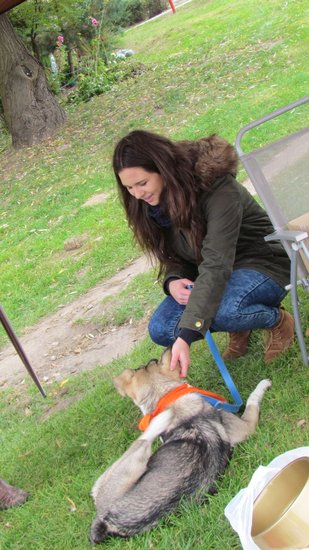 Psy będą miały pełne brzuchy