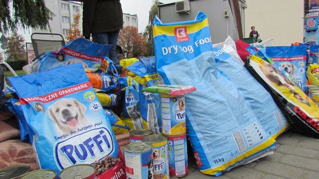 Psy będą miały pełne brzuchy