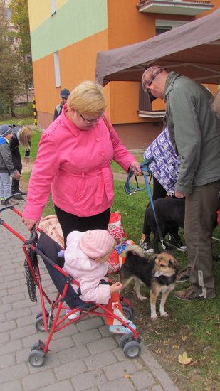 Psy będą miały pełne brzuchy