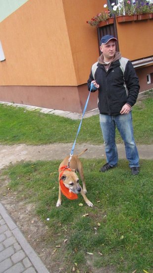 Psy będą miały pełne brzuchy