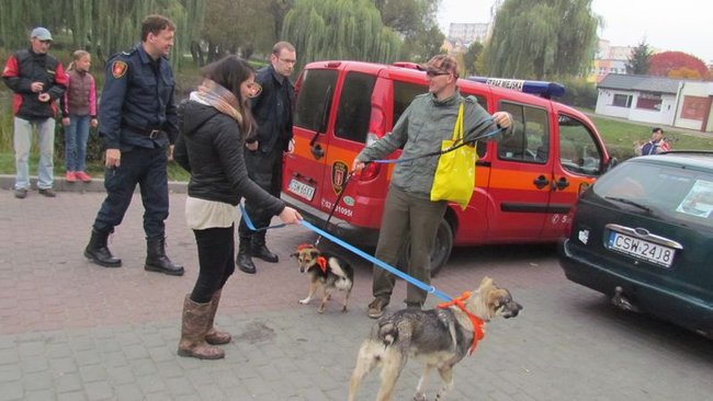 Psy będą miały pełne brzuchy