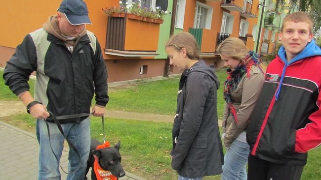 Psy będą miały pełne brzuchy