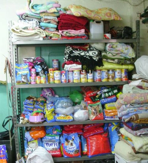 Psy będą miały pełne brzuchy