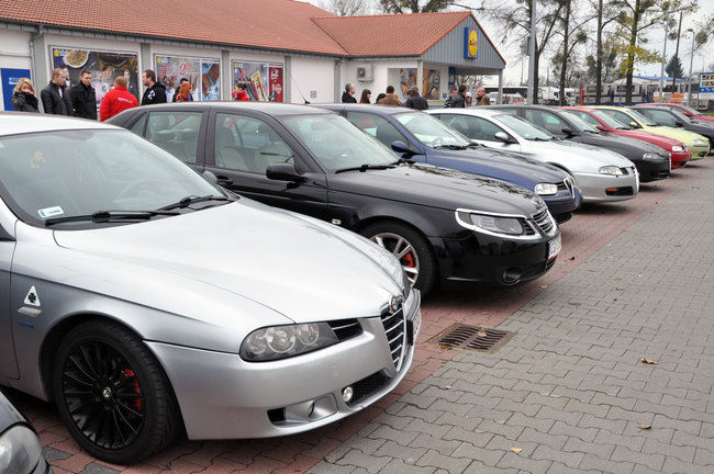 Alfy na ulicach Świecia