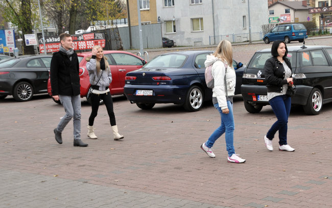 Alfy na ulicach Świecia