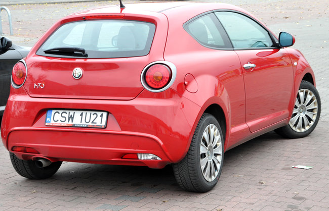 Alfy na ulicach Świecia