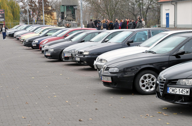 Alfy na ulicach Świecia