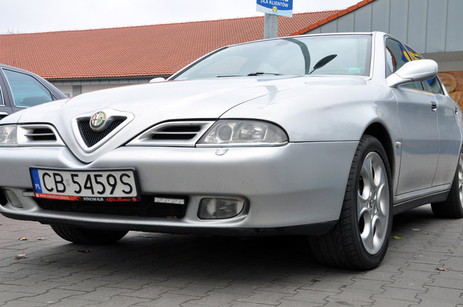 Alfy na ulicach Świecia