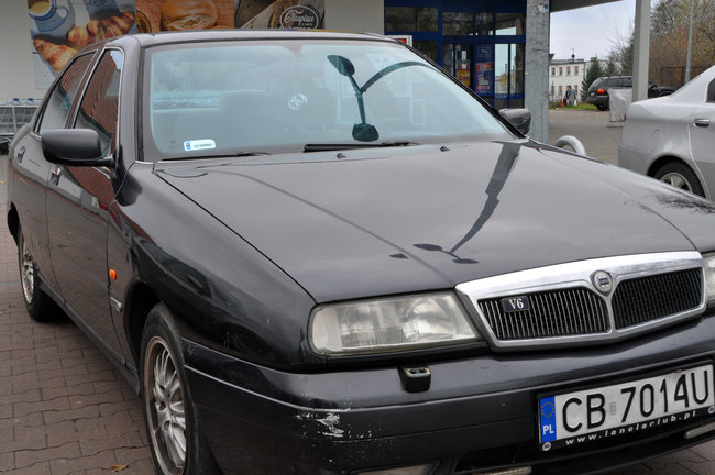 Alfy na ulicach Świecia