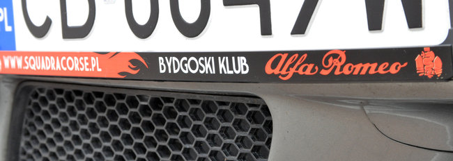 Alfy na ulicach Świecia